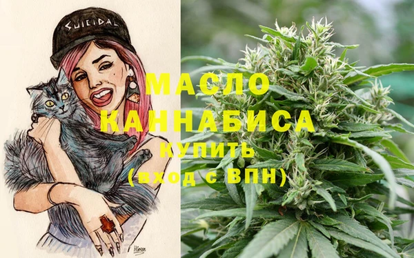 метадон Алексин